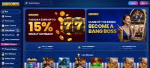 bangcoins-homepage